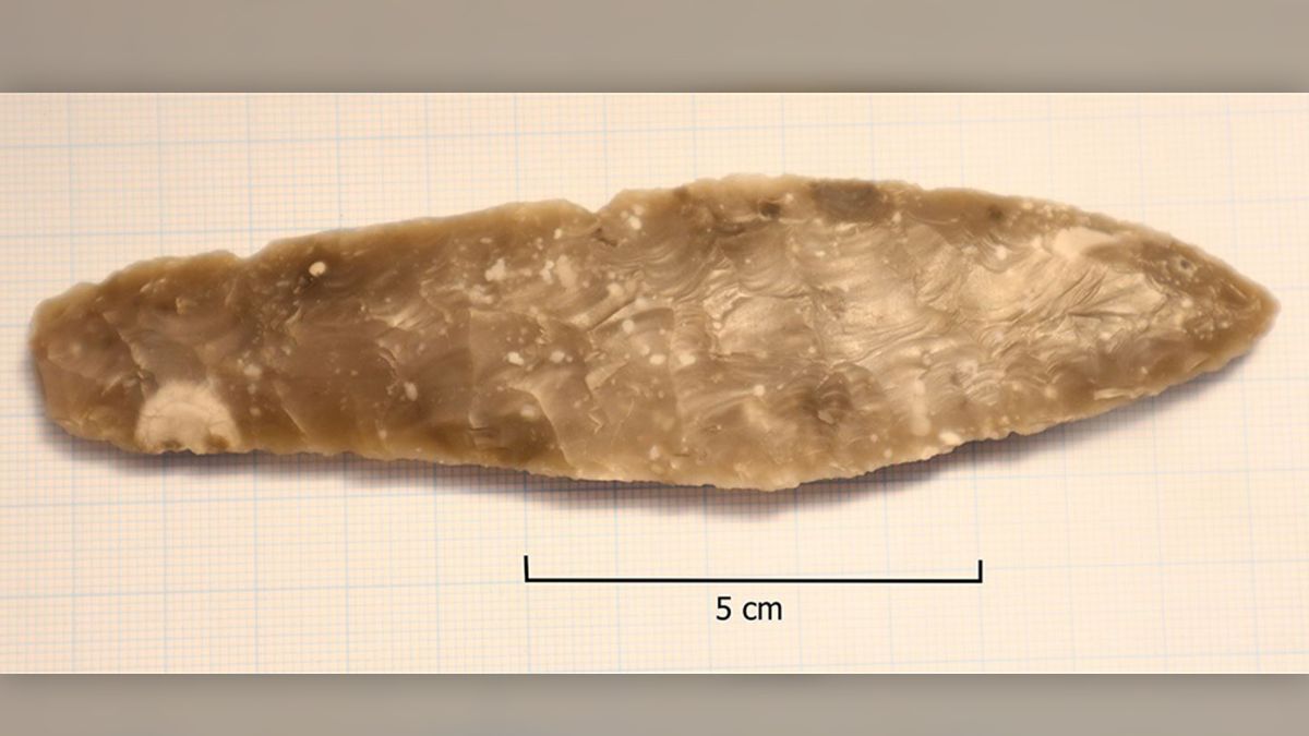 Eight-year-old girl discovers a very rare Stone Age dagger in the schoolyard
